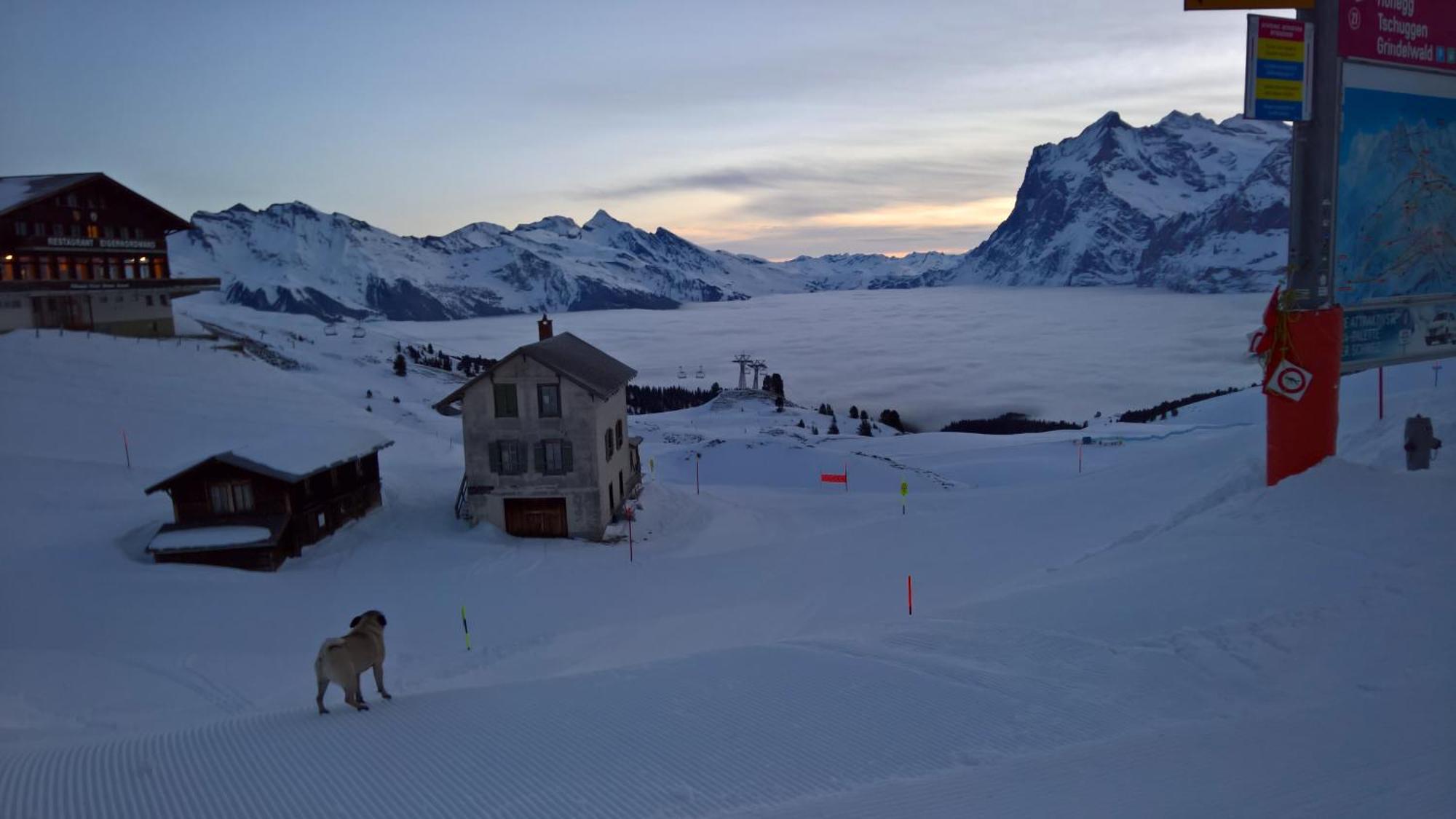 Lodge Bergrestaurant Kleine Scheidegg Exterior foto
